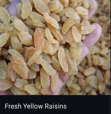 Fresh Elongated Yellow Raisins 1 KG