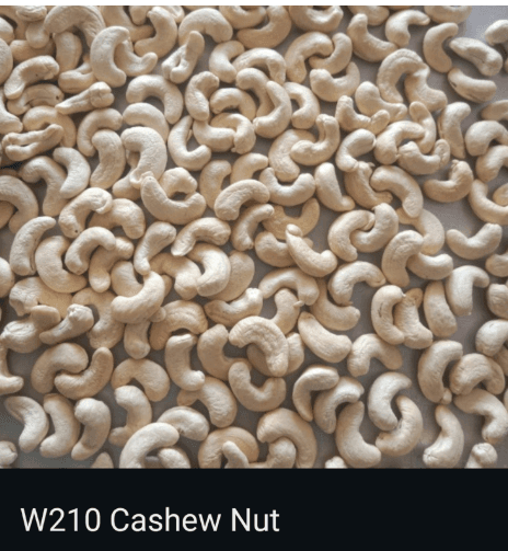 Royal Jumbo W210 Whole Cashew Nuts 1 KG